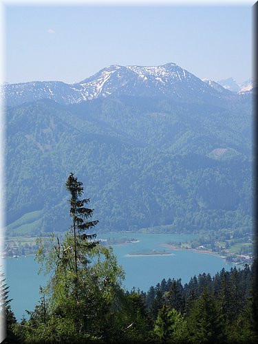 Neureuth 017.jpg