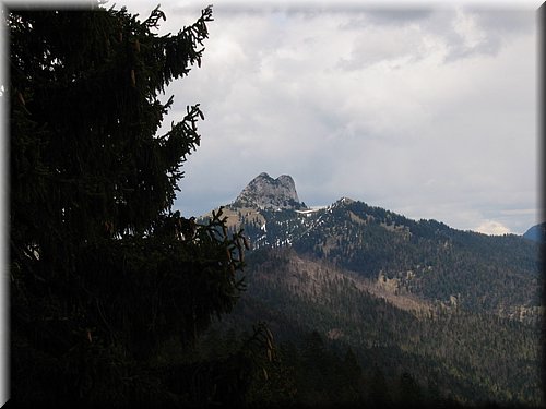 hochalm 001.jpg