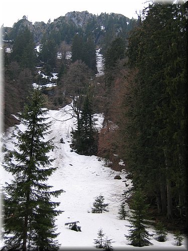 leonhardi01.jpg