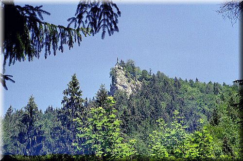 riederstein01.jpg
