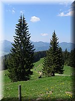 Neureuth 019.jpg