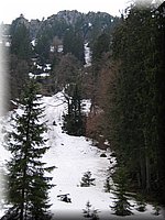 leonhardi01.jpg