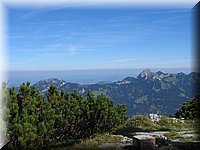 rotwand03.jpg