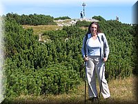 rotwand05.jpg