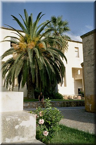 3022_022.JPG