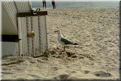 0030_030.JPG