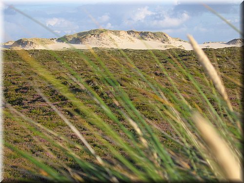 Sylt 065.jpg