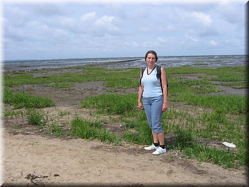 sylt05 102.jpg
