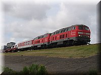 sylt05 091.jpg